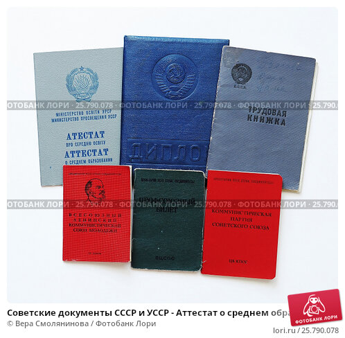 Процесс появления гипотез от догадок до теорий