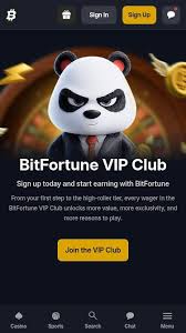 How BNB Powers Your Gambling Experience at Bitfortune